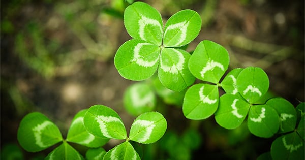 Don’t Let Your “Luck” Run Out | Simplifying The Market