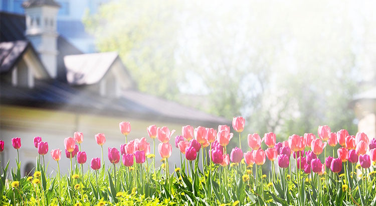 The Housing Market Will “Spring Forward” This Year!