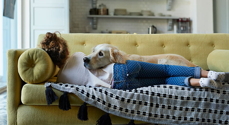 Why Pet-Friendly Homes Are in High Demand | Keeping Current Matters