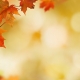 4 Reasons to Sell This Fall [INFOGRAPHIC] | Keeping Current Matters
