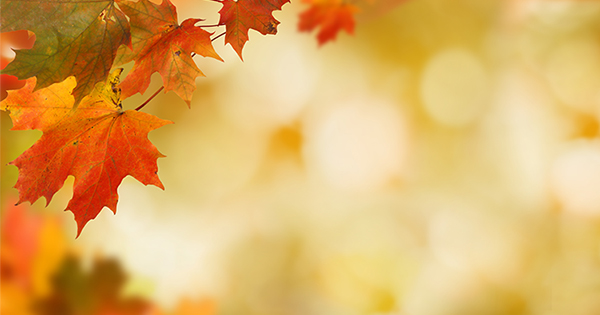 4 Reasons to Sell This Fall [INFOGRAPHIC] | Keeping Current Matters