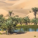 Your House Could Be the Oasis in an Inventory Desert | Keeping Current Matters