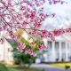 This Spring Presents Sellers with a Golden Opportunity | Keeping Current Matters